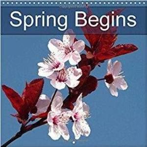 Meet your Posher, Tammie